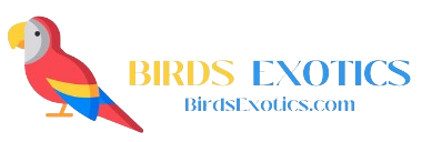 Birds Exotics –  Available parrots